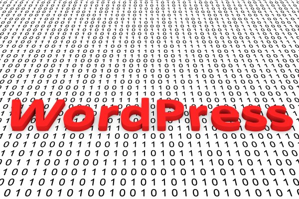 wordpress 0 1 binary code web hosting websites